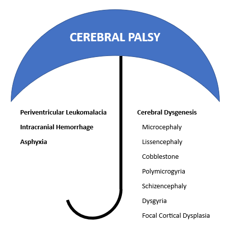 seating dynamics cerebral what falls under the umbrella