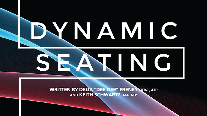 Dynamics Seating Article Screenshot