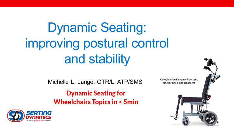 seating dynamics quick class improving postural control stability