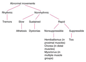 blog 125B abnormal movements