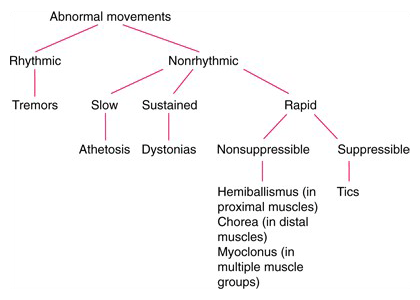 blog 125B abnormal movements