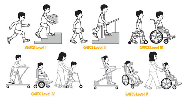 seating dynamics blog gross motor function classification system