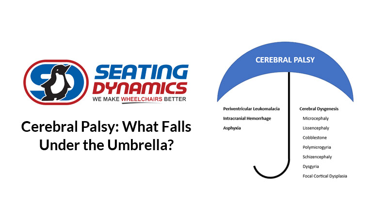 seating dynamics cerebral palsy what falls under the umbrella